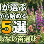 【ガーデニング】3月から始めるならこれ！園芸のプロがおすすめする花５選の紹介！こぼれ種も！あしかがフラワーパーク・中之条ガーデンズ・花菜ガーデン・フラワーガーデン泉