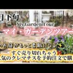 【ガーデニング】【マイガーデンツアー】3月下旬のお庭の様子／人気のオシャレなクレマチスの植え付け