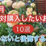 【3月購入したいお花10選】買わないと後悔する神花