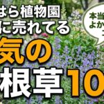【ガーデニング】おぎはら植物園！3月本当に売れてる宿根草10選！植えてえよかったのはコレ！育ててみてわかったこと！あしかがフラワーパーク・中之条ガーデンズ・花菜ガーデン