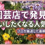 【ガーデニング】3月の園芸店で見た！園芸のプロも推す最新トレンドの花！即買いしたくなる注目の大人気品種を最新情報で紹介！驚きの新品種！お買い得情報！フラワーガーデン泉・群馬県・gardening