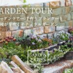 【ガーデンツアー】こぼれ種が彩る春の庭｜枯れ木で作ったプランター｜DIY｜ガーデニング｜３月のガーデンツアー｜マイガーデンツアー