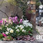 今春のトレンドはNHK人気講師がつくる花壇やお庭をみれば一目瞭然！春の寄せ植えに心躍るお洒落で素敵な大人気のお店！ | ロベリア |  園芸/ガーデニング店巡り| 大阪/堺