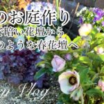 【ガーデニング Vlog】３月のお庭作り／簡単！半日陰でも華やかになる方法／園芸店風クリスマスローズ春花壇／ラナンキュラス