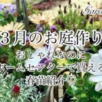 【ガーデニング Vlog】３月のお庭作り／コスパ最強！ホームセンターの花苗で春庭が素敵に／ローダンセマム・ネモフィラ他／リメイクしてムルチコーレ植えつけ