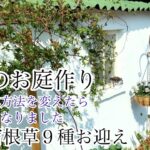 【ガーデニングVlog】３月のお庭作り／初夏まで咲く宿根草９種お迎え／パラソルを出す時期になりました／ビオラ君待ち切り戻し