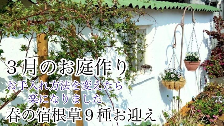 【ガーデニングVlog】３月のお庭作り／初夏まで咲く宿根草９種お迎え／パラソルを出す時期になりました／ビオラ君待ち切り戻し