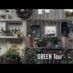 【個人邸】キューガーデンの新作に似合いすぎる球根類と宿根草でつくる特別な一鉢アイディアに感動！ミモザ開花で春到来お洒落で素敵すぎるお庭！| keiko様邸 | 園芸/ガーデニング店巡り | 兵庫/明石