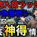 【３月の買いはここ！】お待たせしました　今月はあれもこれも入荷してきます