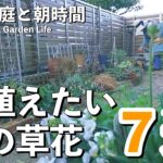 【ガーデニング】今植えたい春の可愛い草花に出会ってしまった❤️｜宿根草のお手入れ｜小さな庭