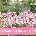 ガーデニング・春の新入り苗をご紹介｜植え付け前のワクワク時間とアナベルの挿し木｜おしゃれな庭づくり