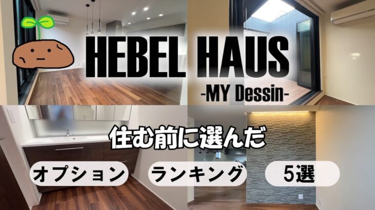 【オプション】ヘーベルハウスの規格マイデッサンにつけたオプションランキング　５選