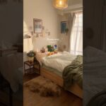 ルームツアー┊︎1LDK 35㎡┊︎一人暮らし┊︎好きな物に囲まれるお部屋🪴 #roomtour #ルームツアー #一人暮らし