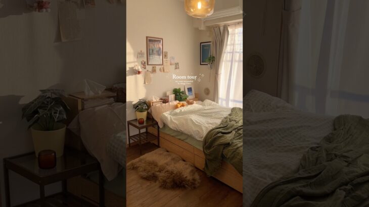 ルームツアー┊︎1LDK 35㎡┊︎一人暮らし┊︎好きな物に囲まれるお部屋🪴 #roomtour #ルームツアー #一人暮らし