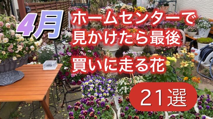 【見たら最後、買いに走る花】ホームセンターで購入神花21選