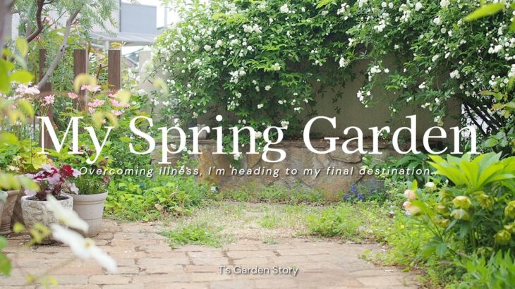 《3月から4月の春庭》荒れ果てた庭からの再出発＊無農薬栽培始めます《ガーデニングと畑仕事》