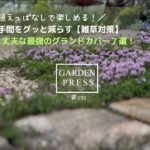 【ガーデニング】植え替え不要な手間いらず＆おしゃれなグランドカバー7選｜実際に植えてよかった｜保存版｜ローメンテナンス｜