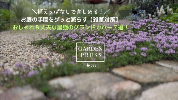 【ガーデニング】植え替え不要な手間いらず＆おしゃれなグランドカバー7選｜実際に植えてよかった｜保存版｜ローメンテナンス｜