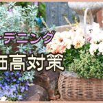 最近…高すぎません？でも大丈夫！お金をかけずに楽しむコツ8選