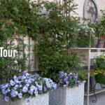 【個人邸】和庭木とフレンチ調の見事な融合！DIY花壇とコンテナガーデンだけなのに驚異の華やかさお洒落で素敵なお庭の一年で一番輝く風景がこちら！| じゅんぴー様邸 | 園芸/ガーデニング店巡り | 徳島