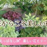 ガーデニング＊日陰の庭だからこそ美しい🌿植えっぱなしでOKな宿根草！花とリーフが楽しめるシェードガーデン
