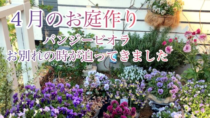 【ガーデニング Vlog】４月のお庭作り／パンジービオラ♡すみれ図鑑・レディ他２０種紹介