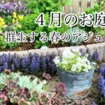 【ガーデニングVlog】４月のお庭作り／一年中植えっぱなしアジュガ紹介／新緑いっぱいの春庭の様子