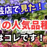 【ガーデニング】４月の園芸店で見た神花特集！今しか買えない品種！園芸のプロもイチオシ！注目の大人気品種を最新情報で紹介！フラワーガーデン泉・群馬県・gardening
