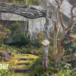 【個人邸】小さく減らすように育てるお庭は本物の山より自然な雰囲気で小道に咲く山野草が可愛いすぎる！プロデザイナーのプライベートな和風庭園！| jiro様邸 | 園芸/ガーデニング店巡り | 愛知/豊田