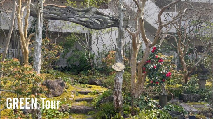 【個人邸】小さく減らすように育てるお庭は本物の山より自然な雰囲気で小道に咲く山野草が可愛いすぎる！プロデザイナーのプライベートな和風庭園！| jiro様邸 | 園芸/ガーデニング店巡り | 愛知/豊田