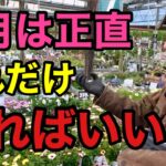 【４月の植物管理】ただし今月は絶対にやって下さい！　　　【園芸】【ガーデニング】【初心者】