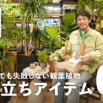 【植物バイヤーおすすめ】観葉植物を育てやすくするための便利アイテム６選！