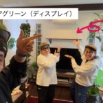 新生活にオススメ観葉植物のある空間【模様替え】#観葉植物 #インテリアグリーン #インテリアディスプレイ