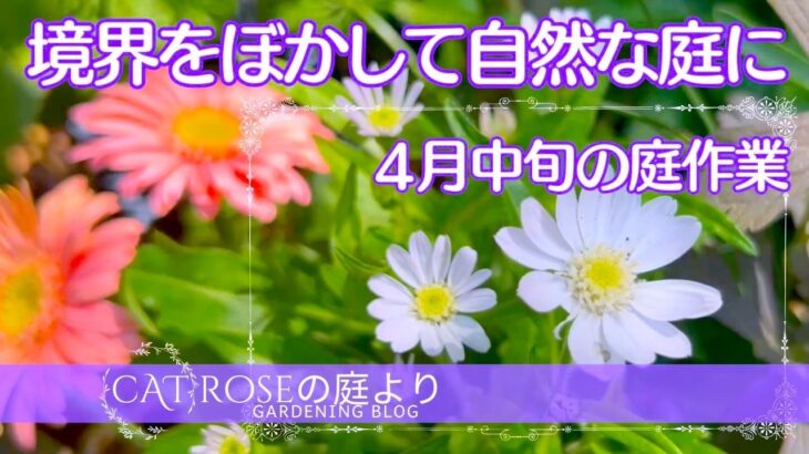 【ガーデニング】      今やっておく夏越しの準備と花後の管理・境界をぼかして自然な庭に・ 植えっぱなしで咲く可憐な山野草・４月中旬の庭作業