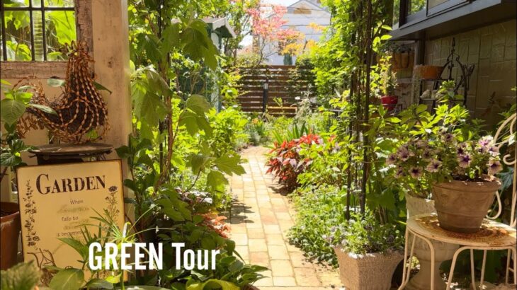 【個人邸】和風のお花が絶妙に馴染むナチュラルイングリッシュガーデン！ハナミズキに牡丹、白ヤマブキと英国風との調和がお見事なお洒落なお庭！ | 鷲田邸 | 園芸/ガーデニング店巡り | 兵庫/神戸