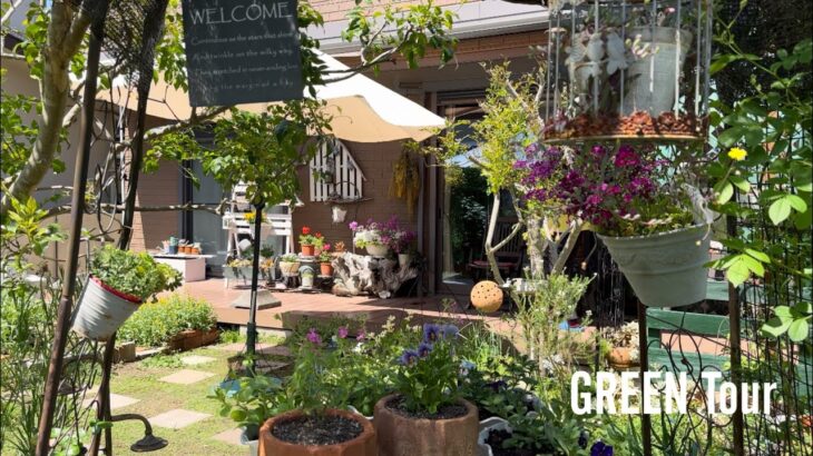 【個人邸】初年度の神戸オープンガーデン写真コンクールで優勝されたお庭はカロライナジャスミンの甘い香り広がるお洒落で素敵なお庭！ | 西森邸 | 園芸/ガーデニング店巡り | 兵庫/神戸