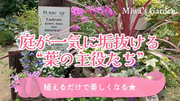 ガーデニング🌿庭が一気に垢抜ける“葉の主役たち”＊植えるだけで美しくなるリーフ選び｜宿根草の庭づくり