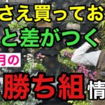 園芸店ホームセンターで5月本当に買うべき植物教えます！　【お買い得情報】【ガーデニング】【初心者】