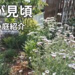【ガーデニング】5月の庭｜花が見頃のガーデンツアー