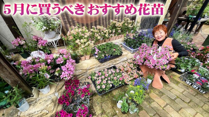 【5月に買うべき宿根草と一年草】ゴールデンウイークはガーデニングを満喫しよう！主役級の花苗が続々と入荷する魅力的な時期【園芸】【ガーデニング】
