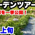 ◆庭を全部公開！５月上旬【ガーデンツアー】