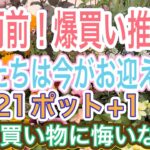 【ガーデニング】【爆買い】【想定外の出費】梅雨になる前に夏花買おう✨ 素敵なお花を好きなだけ買って予算内‼️のはずがまさかの展開に😭←犯人は助手💢夏花、じっくり紹介します【夏花】