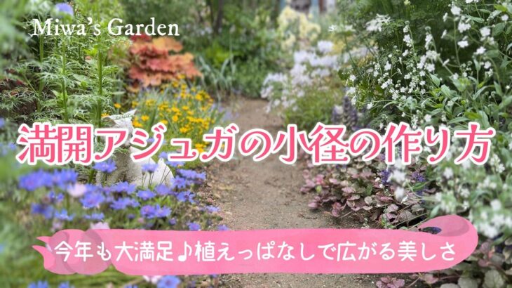 ガーデニング🌿満開のアジュガ小径のつくり方｜植えっぱなしで広がる美しさ｜おしゃれな宿根草の庭づくり・ナチュラルガーデン