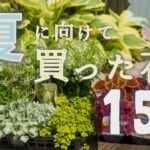 【ガーデニング】夏の花15選🌷猛暑でも元気！実際に庭に植えたおすすめ草花＆カラーリーフおしゃれ庭ベランダガーデニング🌱