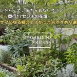 【あきらめないで】狭いスペースをおしゃれに彩る！並べるだけでサマになる植えてよかったおすすめ９選｜奥行17センチの花壇｜ガーデニング｜60代の庭