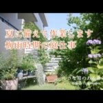 ガーデニング｜夏に備えて作業します！！梅雨時期の庭仕事｜ 〜小さな庭のある暮らし 178〜Gardening ｜ Life in a tiny garden