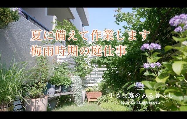 ガーデニング｜夏に備えて作業します！！梅雨時期の庭仕事｜ 〜小さな庭のある暮らし 178〜Gardening ｜ Life in a tiny garden
