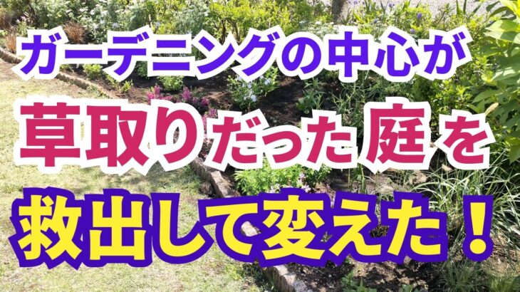 【ガーデニング】草取りに疲れ果ててる庭を救う！もう雑草に悩まない庭づくり！役立つ2026年新品種・購入苗紹介！gardening