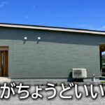 【平屋ルームツアー】コスパ・住み心地・デザインすべてが「ちょうどいい」3LDKの平屋