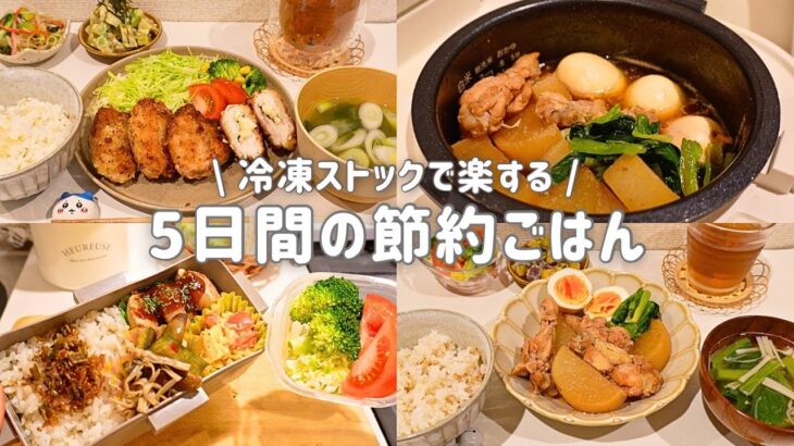 【5日間0円自炊】一人暮らし社会人の節約ごはん記録🍚｜手羽元と鶏むねレシピ🐔